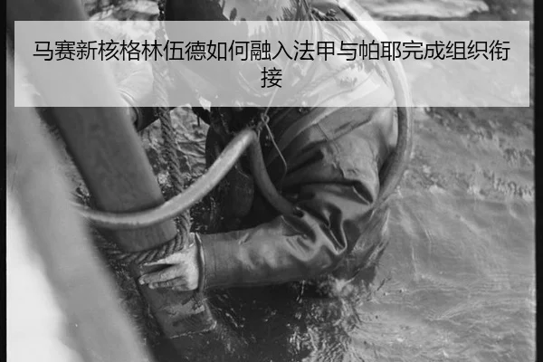 ma-sai-xin-he-ge-lin-wu-de-ru-he-rong-ru-fa-jia-yu-pa-ye-wan-cheng-zu-zhi-xian-jie-3-576.jpg