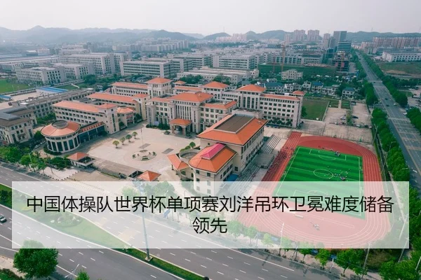 中国体操队世界杯单项赛刘洋吊环卫冕难度储备领先