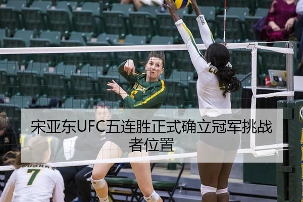 宋亚东UFC五连胜正式确立冠军挑战者位置