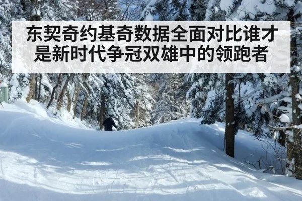东契奇约基奇数据全面对比谁才是新时代争冠双雄中的领跑者