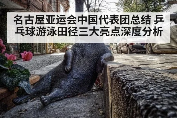 名古屋亚运会中国代表团总结 乒乓球游泳田径三大亮点深度分析